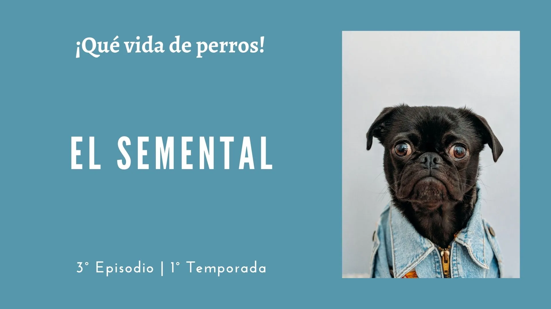 03 | El semental