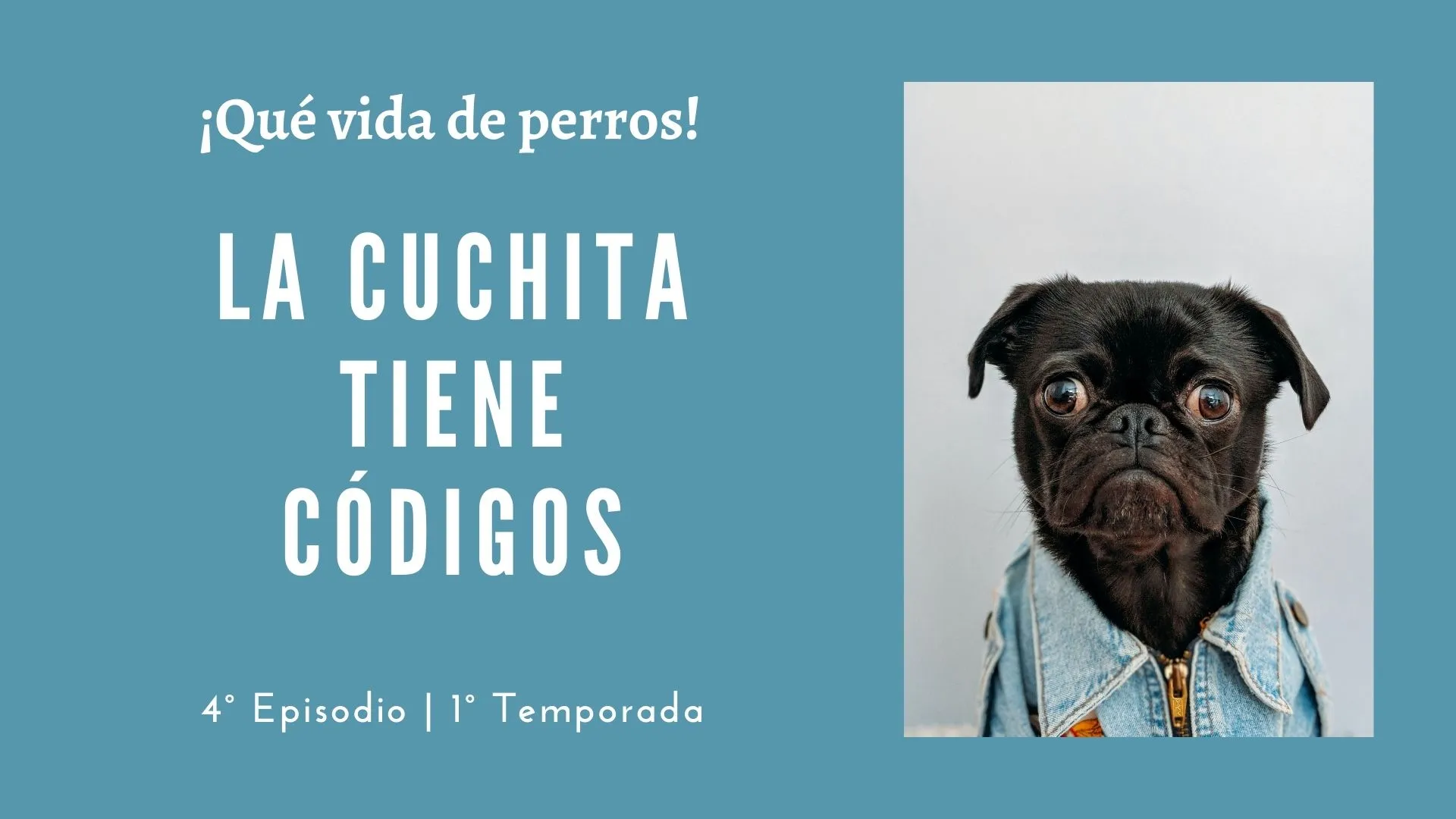 04 | La cuchita tiene códigos