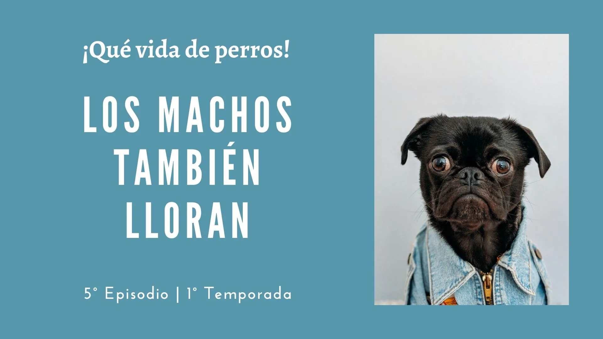 05 | Los machos también lloran