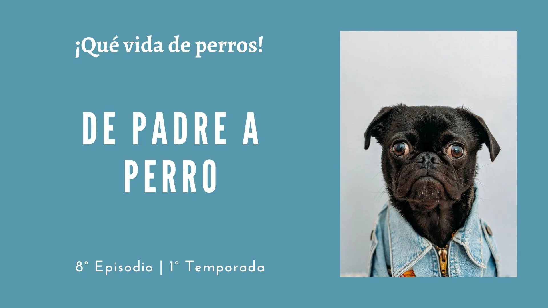 08 | De padre a perro