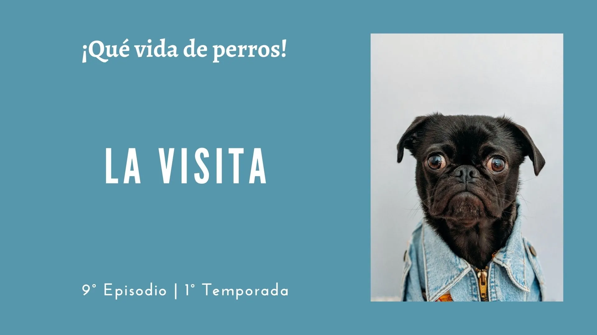 09 | La visita