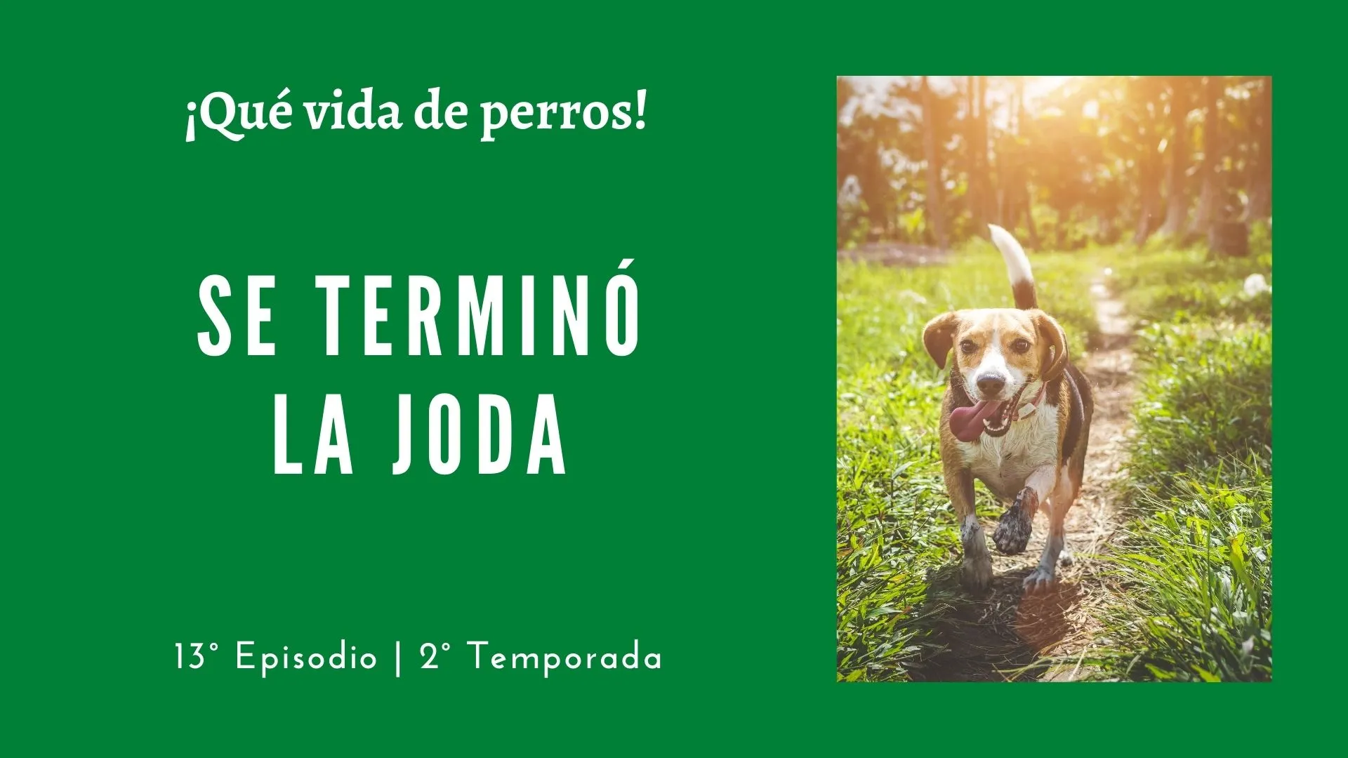 13 | Se terminó la joda