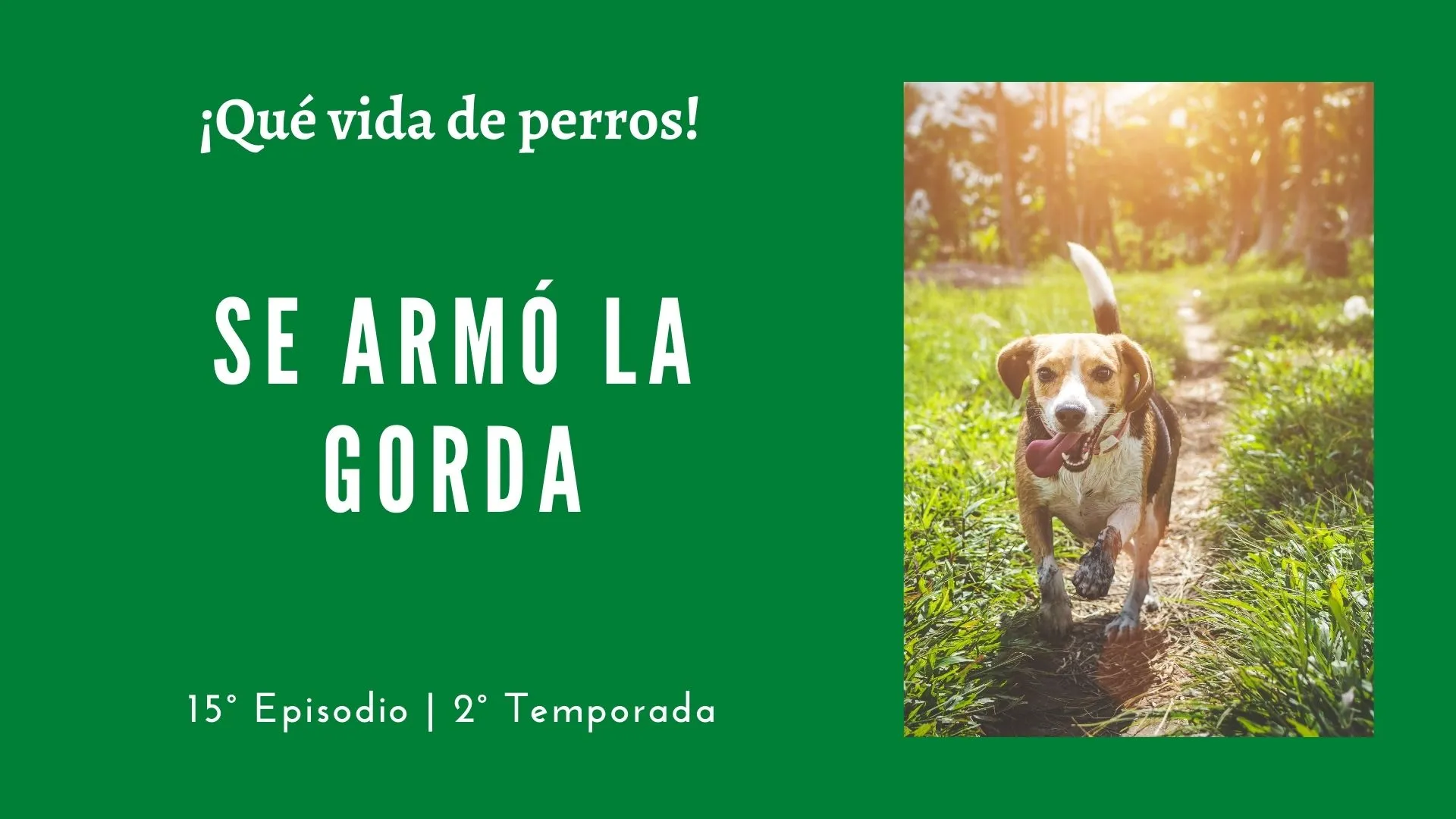 15 | Se armó la gorda