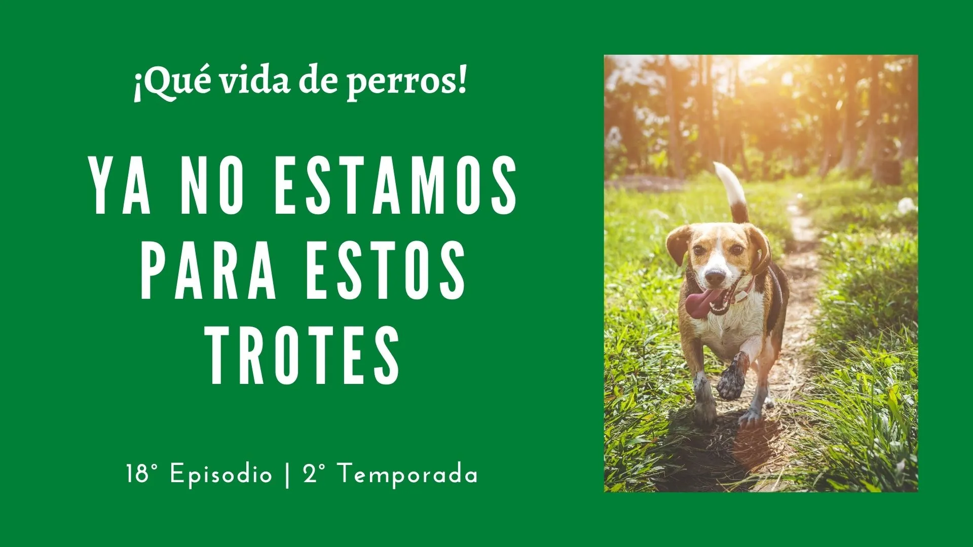 18 | Ya no estamos para estos trotes