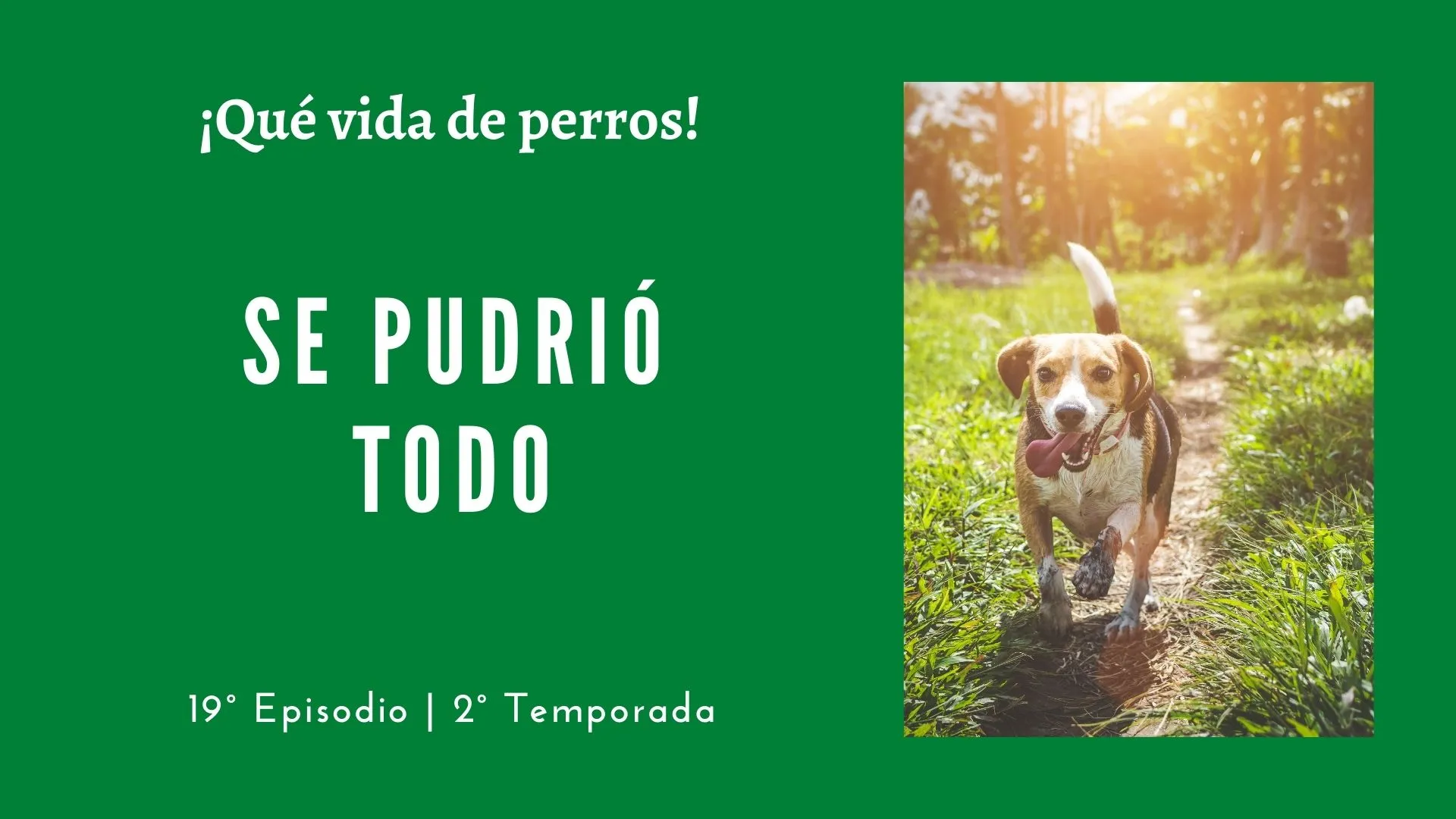 19 | Se pudrió todo