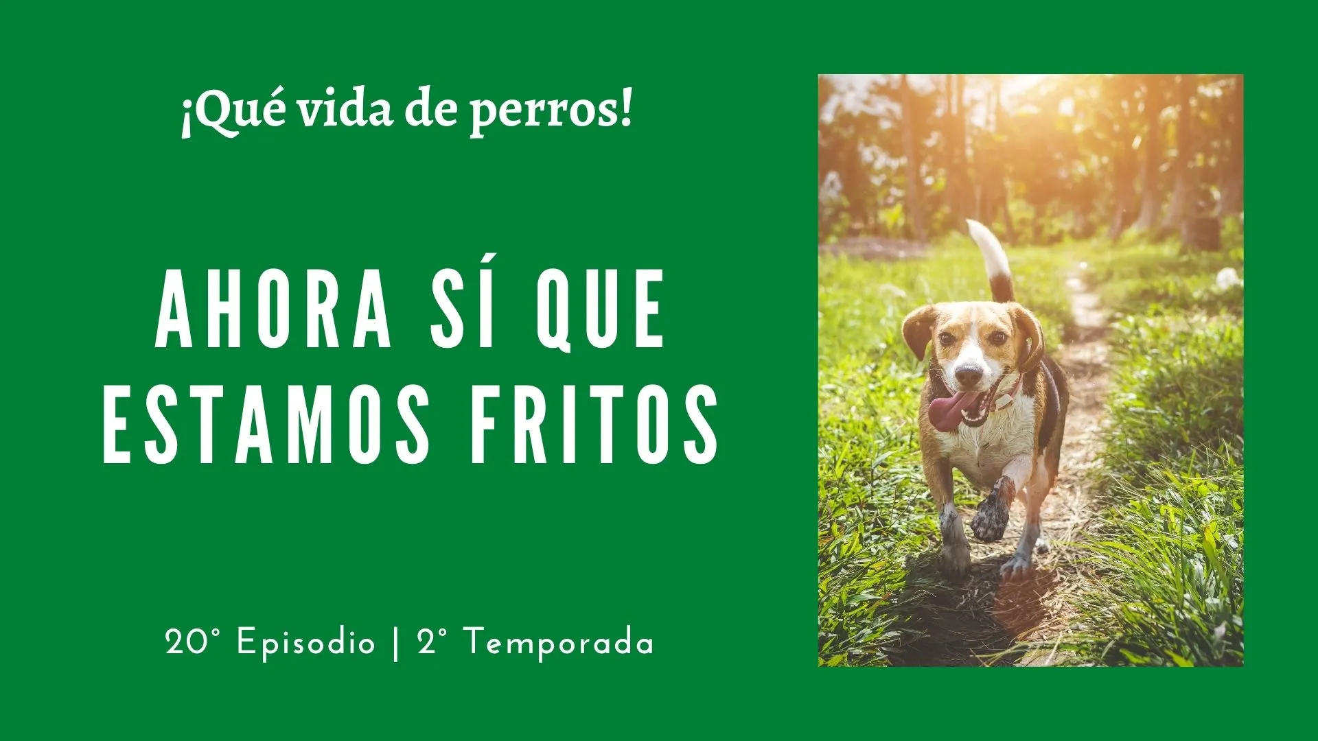 20 | Ahora sí que estamos fritos